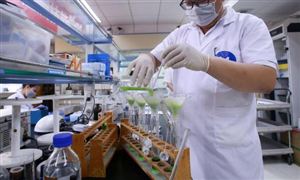 女装行业k1体育平台市场分析(图7)