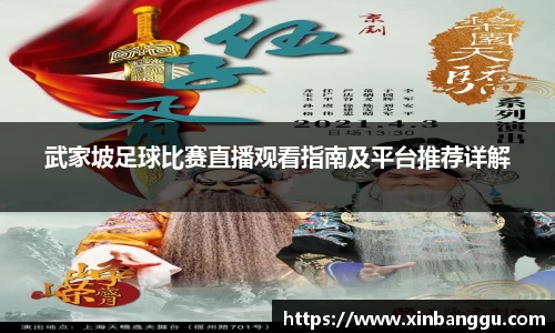 武家坡足球比赛直播观看指南及平台推荐详解