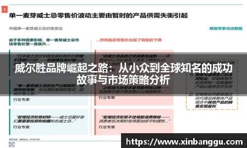 威尔胜品牌崛起之路：从小众到全球知名的成功故事与市场策略分析